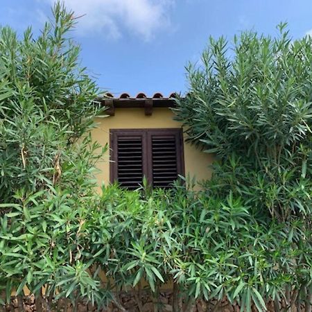 Villa Maveda, Un Dammuso Immerso Nel Verde Lampedusa Zewnętrze zdjęcie