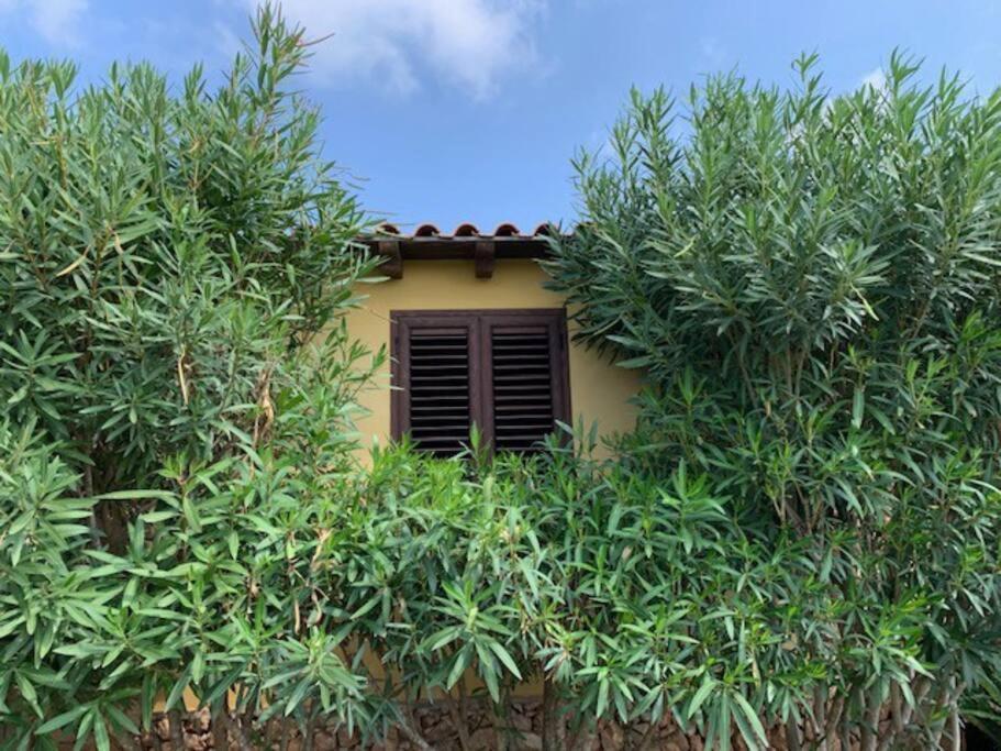 Villa Maveda, Un Dammuso Immerso Nel Verde Lampedusa Zewnętrze zdjęcie
