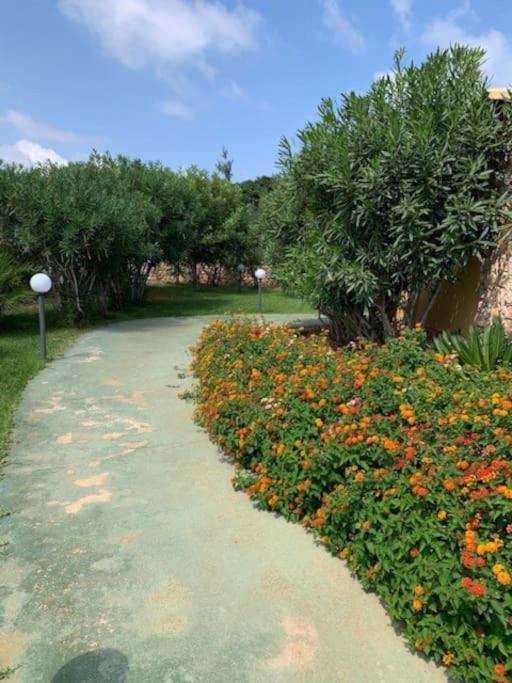 Villa Maveda, Un Dammuso Immerso Nel Verde Lampedusa Zewnętrze zdjęcie