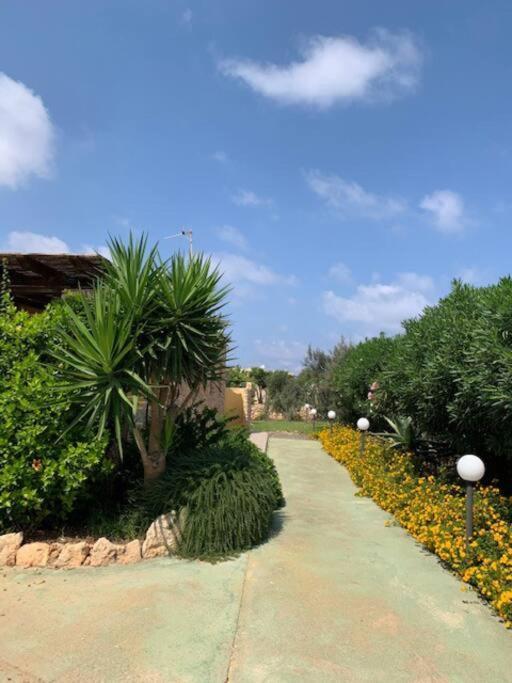 Villa Maveda, Un Dammuso Immerso Nel Verde Lampedusa Zewnętrze zdjęcie